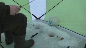 НАВАГА НА ЖЕЛЕЗО/ШКОТОВСКИЕ МЕЛЯКИ/28.12.2021г./