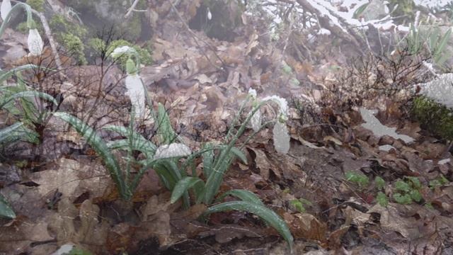 09.03.2022 Благодарность.mp4