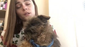 Как правильно дать таблетку кошке. Быстро и эффективно