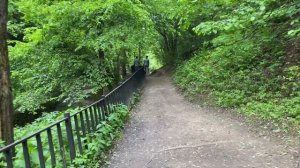 Голосов овраг в Коломенском НАЙДЕН/И Гусь-камень от "всех мужских бед"/Парк Коломенское Москва 2021