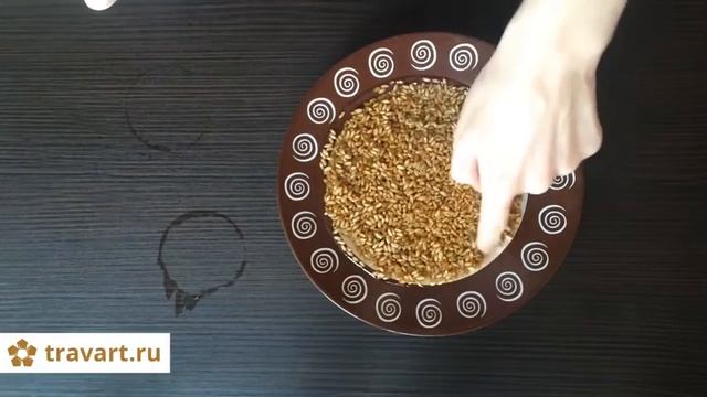 Каша из пророщенной пшеницы. Как прорастить пшеницу. Отличное начало дня
