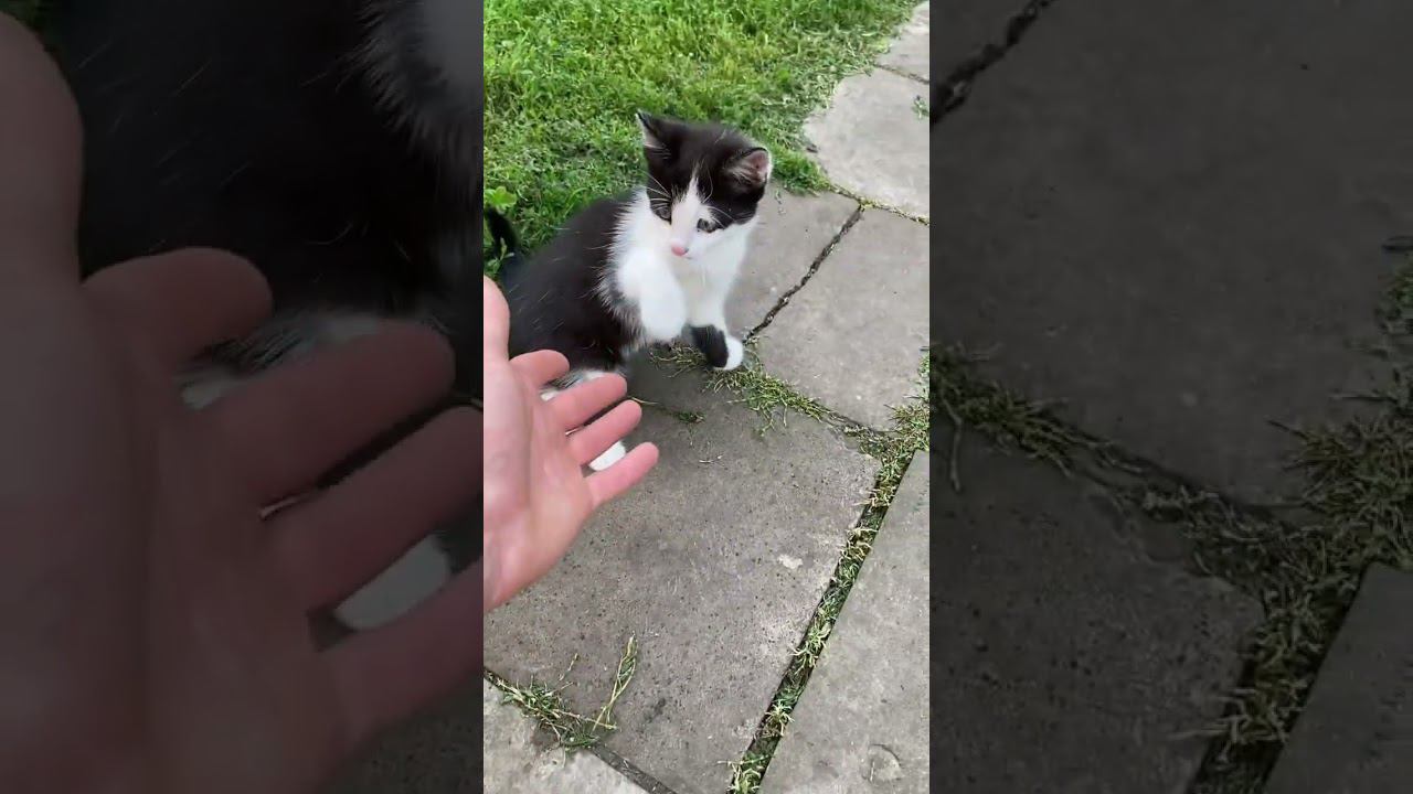 Как спастись от жары в деревне смотреть онлайн