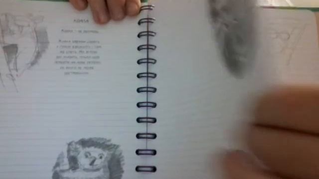 Обзор на Sketchbook для рисования животных смотреть онлайн