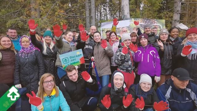 Посадка леса в Тверской области 20 сентября 2021 года смотреть онлайн