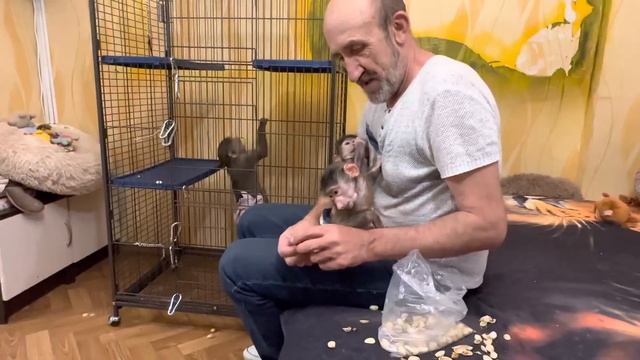 СМЕХОТА! Степашка, Маняшка, Люся и Влад ДЕЛЯТ ФИСТАШКИ!