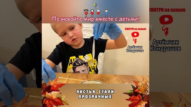 Детские эксперименты / Опыты с детьми / Ажурные скелетированные листья