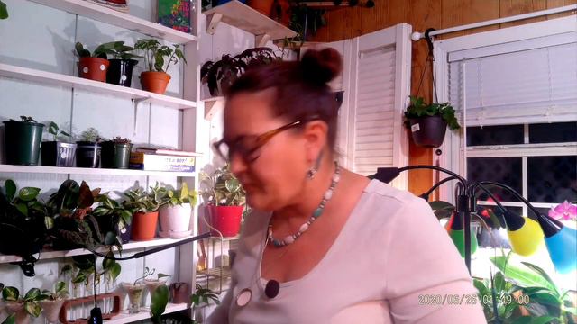 How to Introduce Your Kids to Houseplants: Learning Opportunities While Having Fun! смотреть онлайн