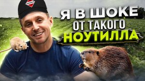 Соя в траве и БОБЕР в норе! Цветение. Классика vs No-Till. Часть 3.