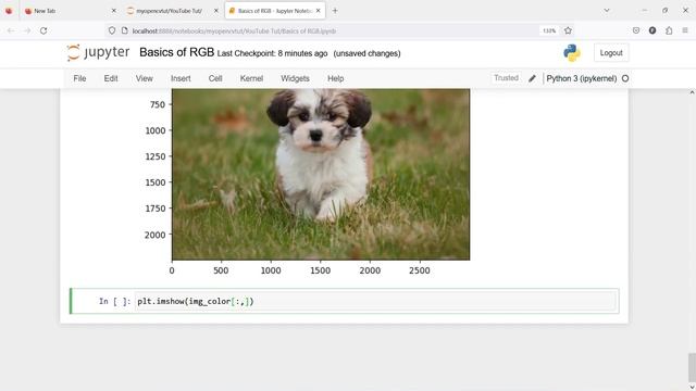 OpenCV Tutorial For Beginners 2: RGB Color Manipulation and Transformation | Python