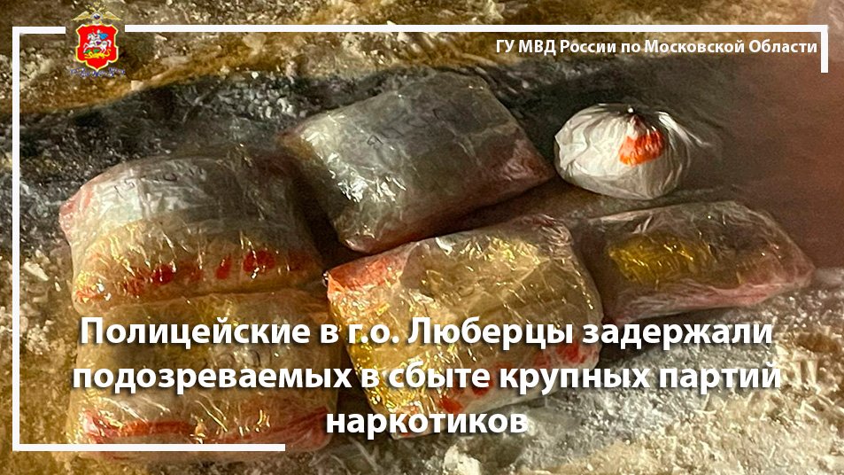 Полицейские в г.о. Люберцы задержали подозреваемых в сбыте крупных партий наркотиков