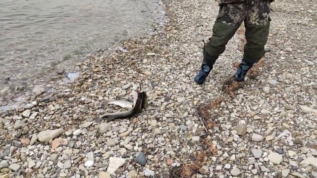 Рыбалка и отдых на Ленских столбах в Якутии - Fishing on the Lena Pillars in Yakutia Batamay Villag смотреть онлайн