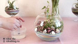 Как правильно и часто поливать цветы? How often to water the flowers?