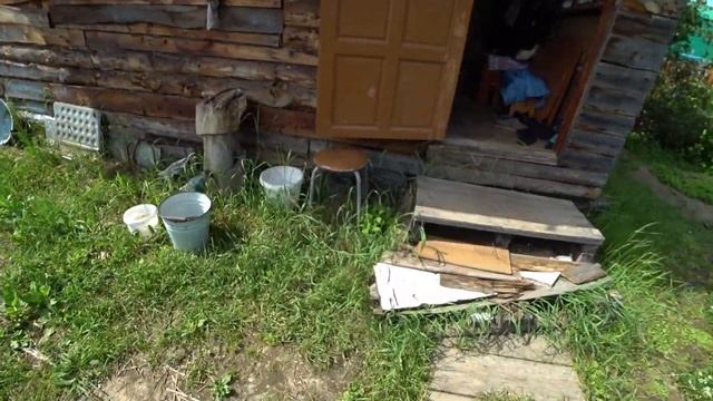 Дача. В Лесу нарубил палок, подвязал горох. Собрал Клубнику и Редис. Обрезал стрелы на Чесноке. смотреть онлайн