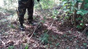 Черемша, посаженная возле реки семенами(часть - 1, посадка)