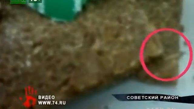В хлебе нашли червей смотреть онлайн