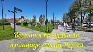 Кинофестиваль Медвежонок 2 и прогулка по эспланаде июнь 2024 года.