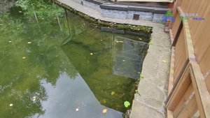 Микрозим результаты работы через три месяца | Азбука сада и пруда