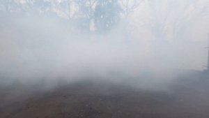 Генератор горячего тумана ГА-2м