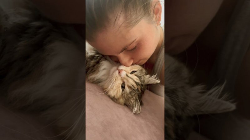 Наконец и я поучаствовала в тренде  #кошкабусинка #тымоя #кошкин_дом #catlover #cat #kitten