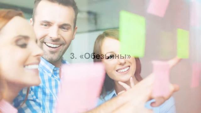 Секреты Богатства от Гарвардской Бизнес школы  Кто вы   Крот, Курица, Обезьяна или Кот