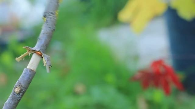 [отводка] Ответы на вопросы к предыдущему видео смотреть онлайн