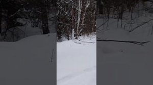 Нурсания Гусманова- Ышана  алмыйм!!!