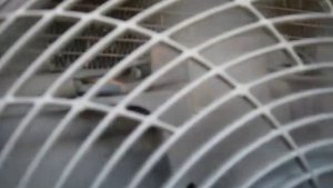 BMW E39 проверяем работу электро вентилятора