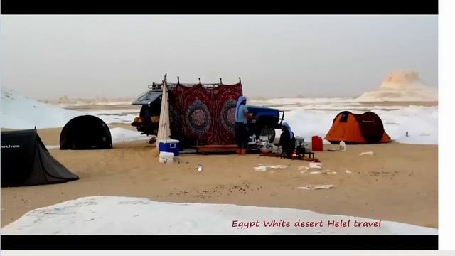 Все что осталось от гигантских деревьев Черная пустыня смотреть онлайн