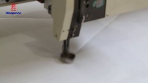 Richpeace Computerized Frame Type Quilting Machine  Fixed head