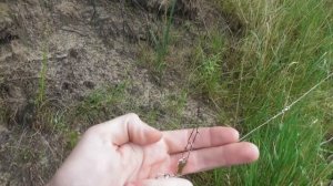 Мещёрские Хроники 15(Открытие Спиннингового сезона на Пре)