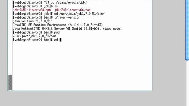 1. WebLogic Server Install JDK (Java) for WebLogic Server . смотреть онлайн