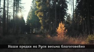 Зачем нужна лампадка дома, и когда её зажигать