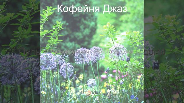 Моменты - Сочный дача смотреть онлайн