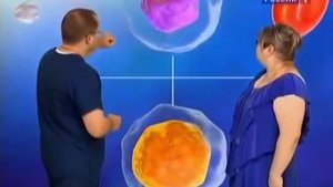 Химия тела  Хитозан убийца жира  Агапкин