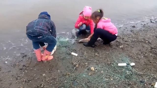 Даже дети ловят рыбу на Чукотке смотреть онлайн