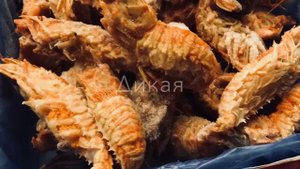 Креветка «Медведка»