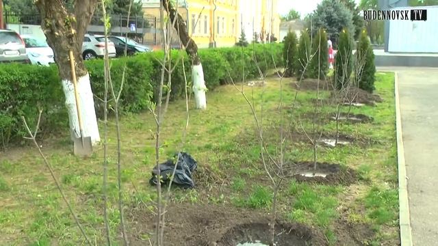 Озеленение территории. смотреть онлайн