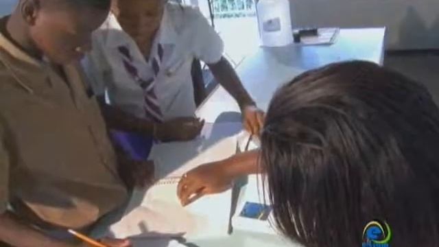 Using the Scientific Method смотреть онлайн