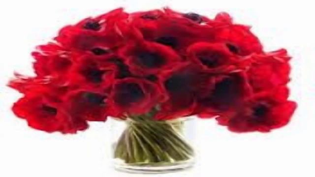 Anemones flower смотреть онлайн