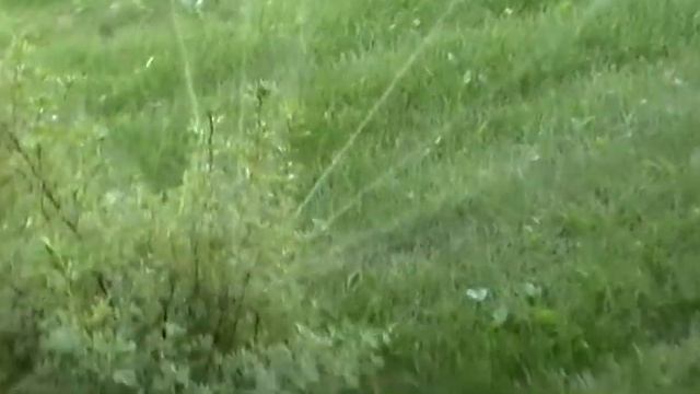 Автоматический полив. смотреть онлайн