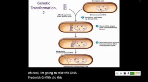 8.5 Horizontal Gene Flow