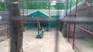 Прогулка по Зоопарку