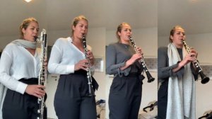 William Tell Overture (March) by Gioacchino Rossini (arr. by Lloyd Conley for clarinet quaret)