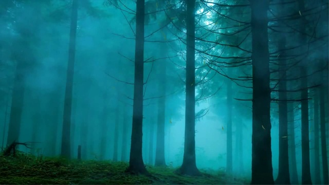 Дождь идёт на улице