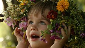 Всё  звучит вокруг