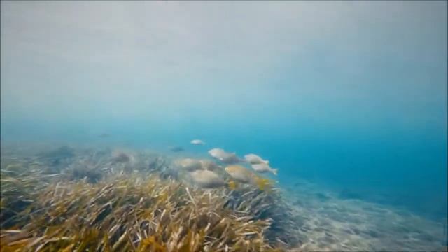 Видео маски для экшн камеры смотреть онлайн