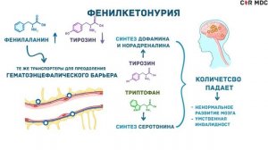 Фенилкетонурия - причины, симптомы, диагностика, лечение