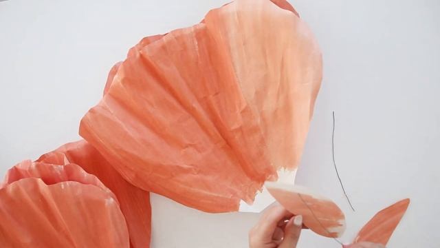 DIY Giant Paper Poppy Backdrop Stand Paper Flower смотреть онлайн