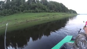 Рыбалка / Язь / Очень много сходов / Река Печора