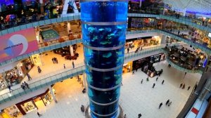 Лучшие экскурсии по Москве 2018 и самые красивые места столицы России